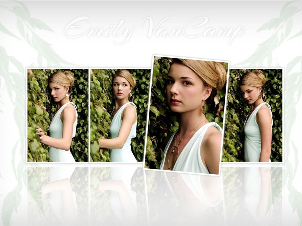 Emily VanCamp krásnou tapetu #2 - 1024x768