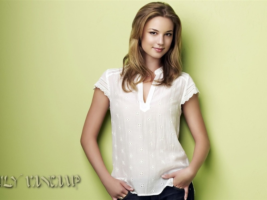 Emily VanCamp 艾米麗·萬凱普美女壁紙 #3 - 1024x768