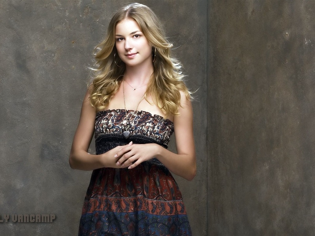 Emily VanCamp 艾米麗·萬凱普美女壁紙 #8 - 1024x768