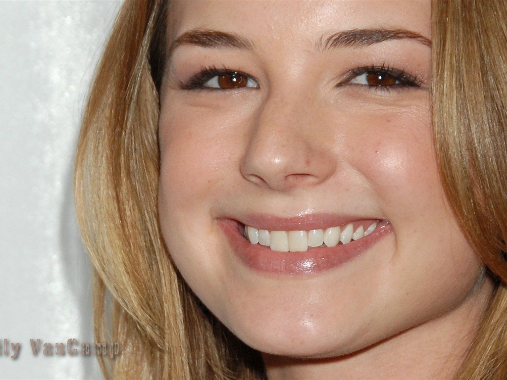 Emily VanCamp hermoso fondo de pantalla #9 - 1024x768