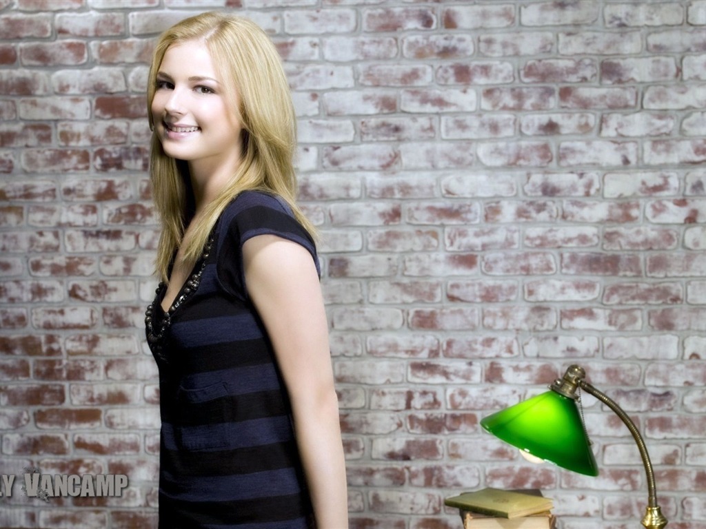 Emily VanCamp hermoso fondo de pantalla #14 - 1024x768