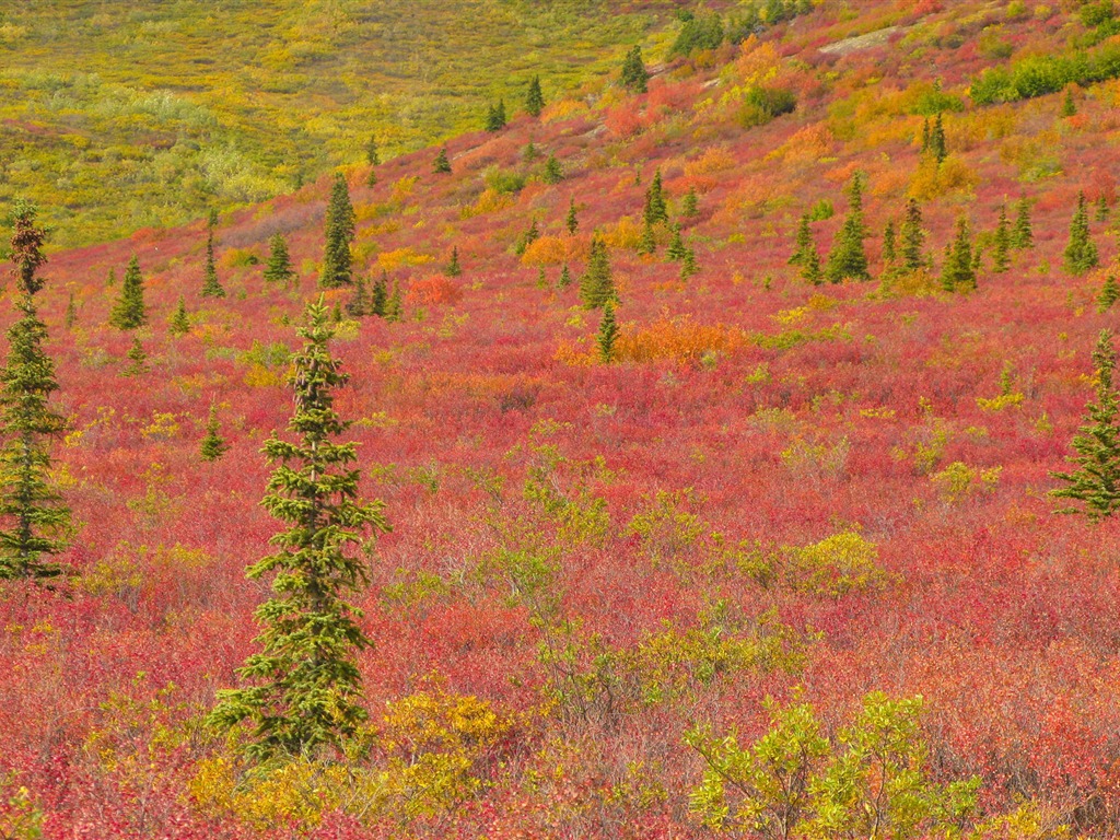 Fond d'écran paysage de l'Alaska (2) #2 - 1024x768