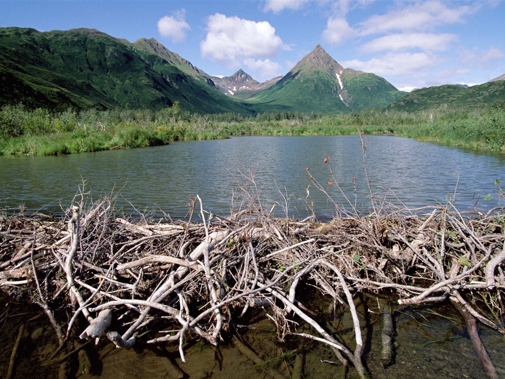 Fond d'écran paysage de l'Alaska (2) #9 - 1024x768