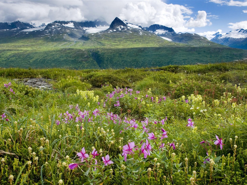 Alaska scenery wallpaper (2) #12 - 1024x768