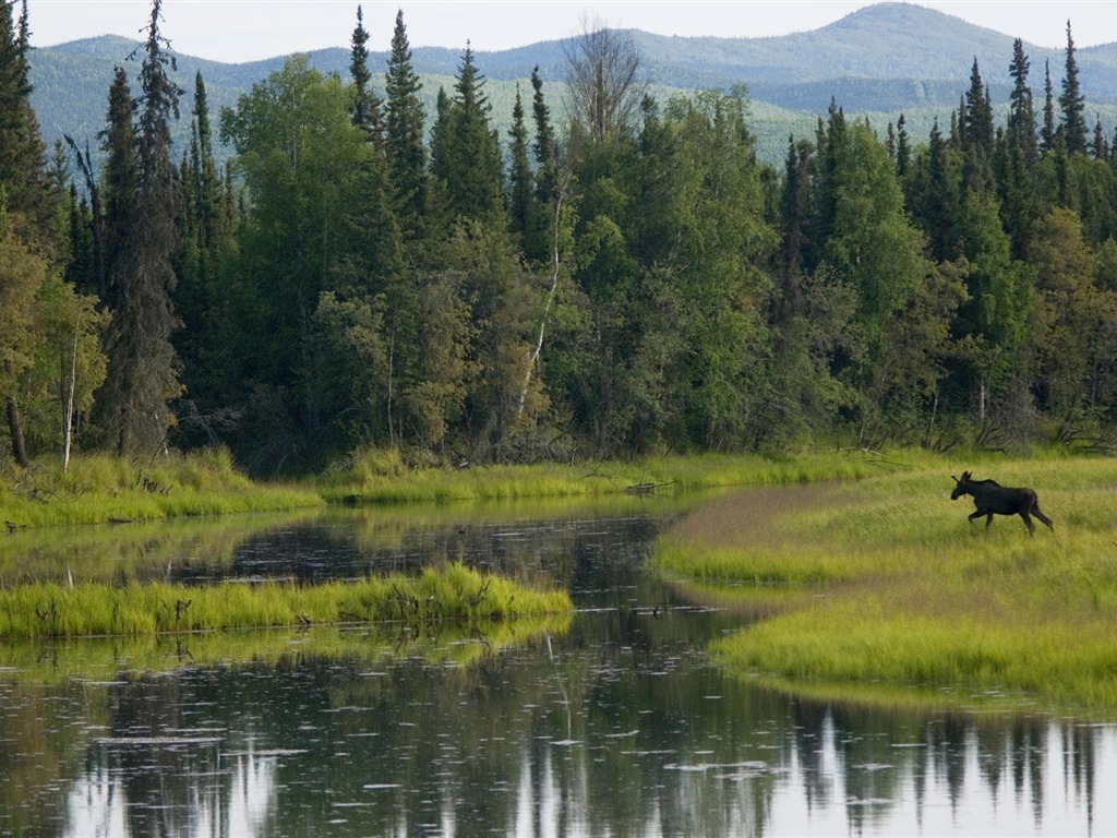 Fond d'écran paysage de l'Alaska (2) #14 - 1024x768