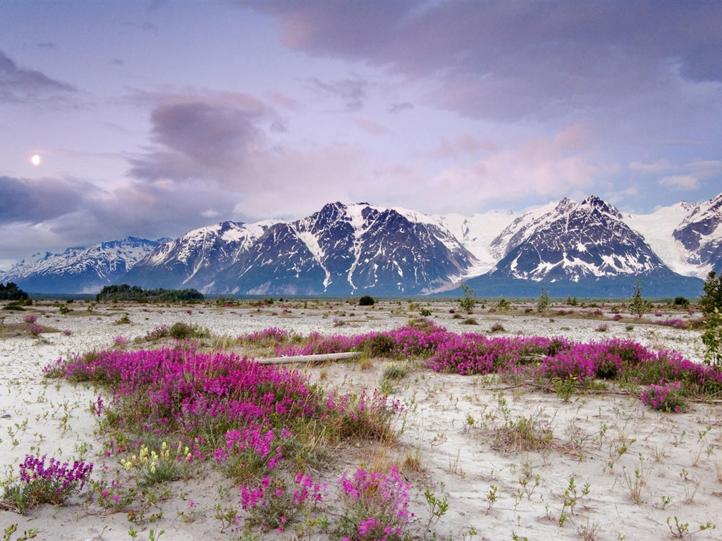 Fond d'écran paysage de l'Alaska (2) #18 - 1024x768