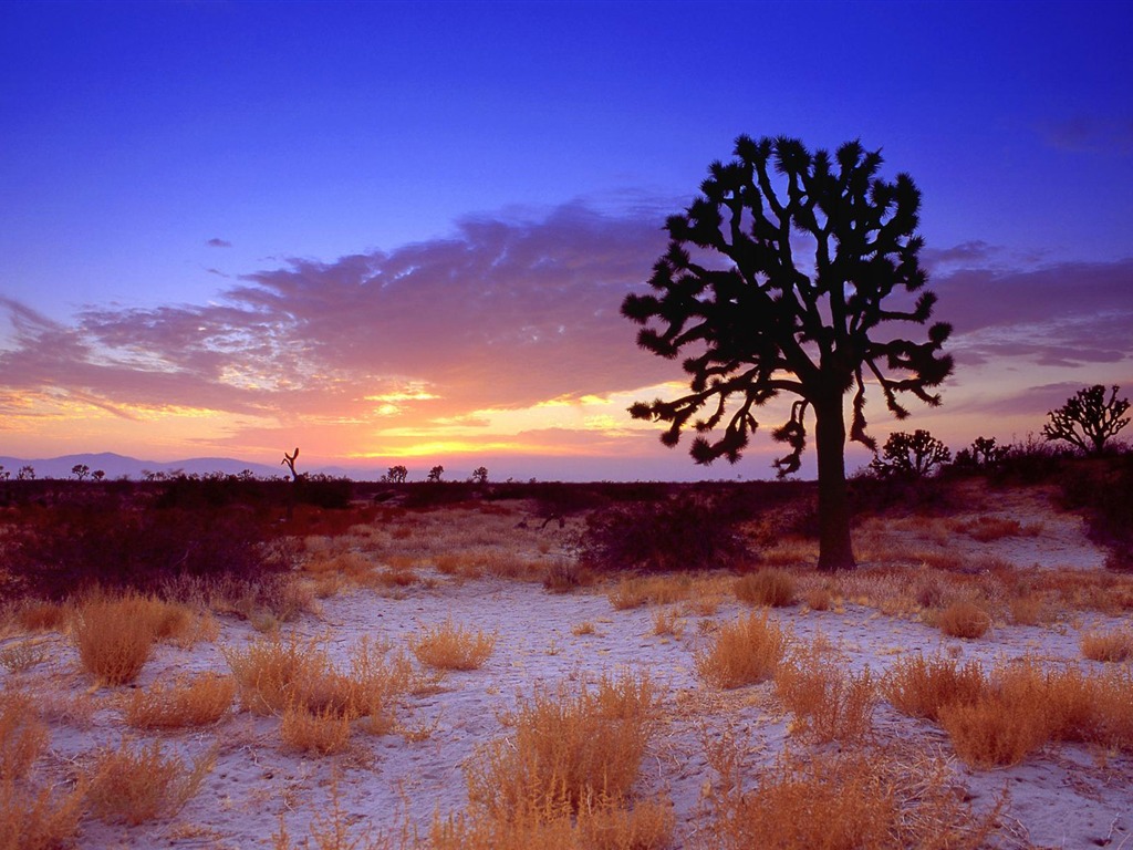 Fondos de Paisajes de California (1) #14 - 1024x768