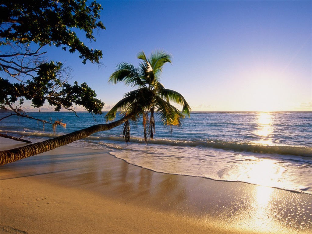 Beach Insel Wallpaper (2) #13 - 1024x768