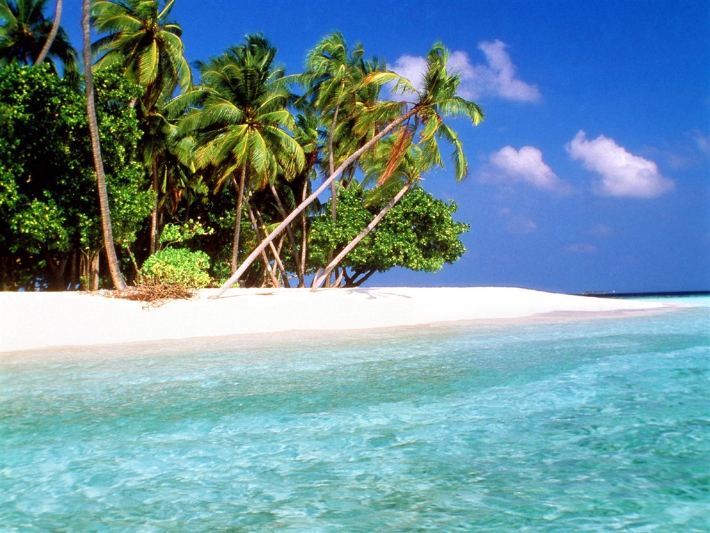 Beach Insel Wallpaper (2) #23 - 1024x768