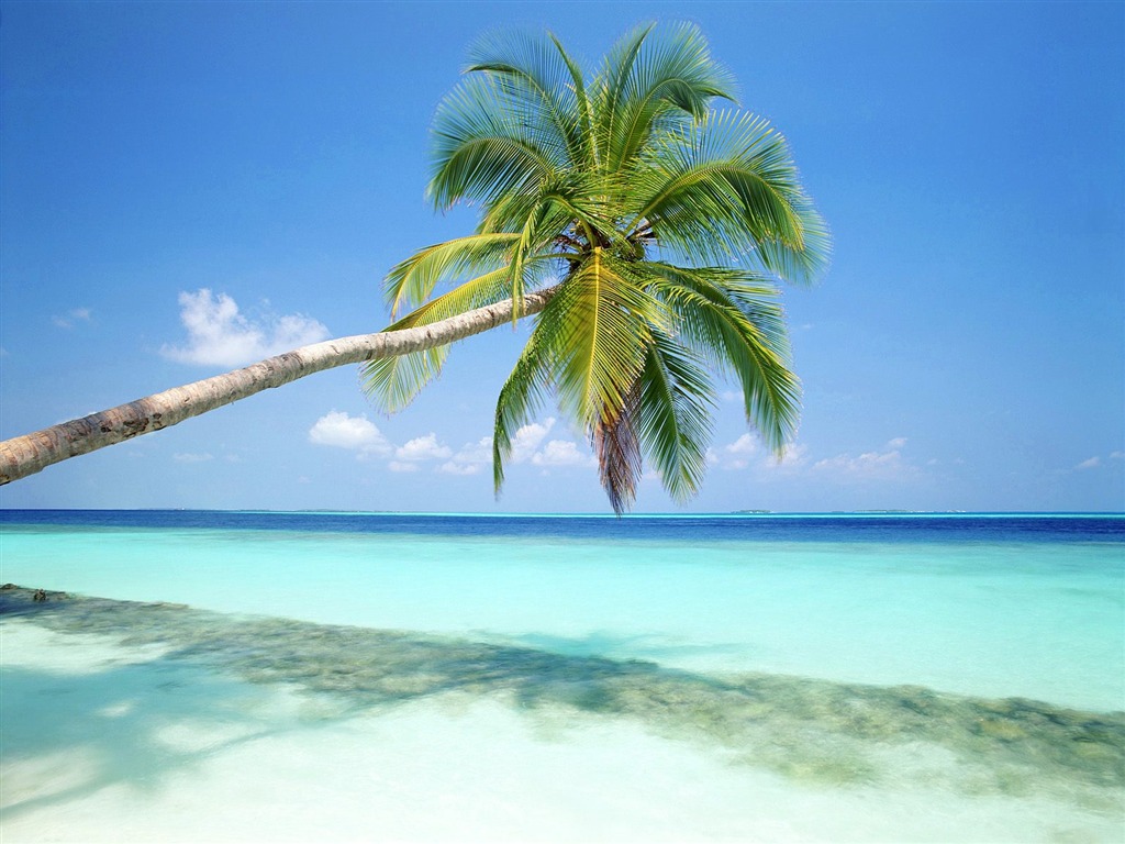 Beach Insel Wallpaper (2) #27 - 1024x768