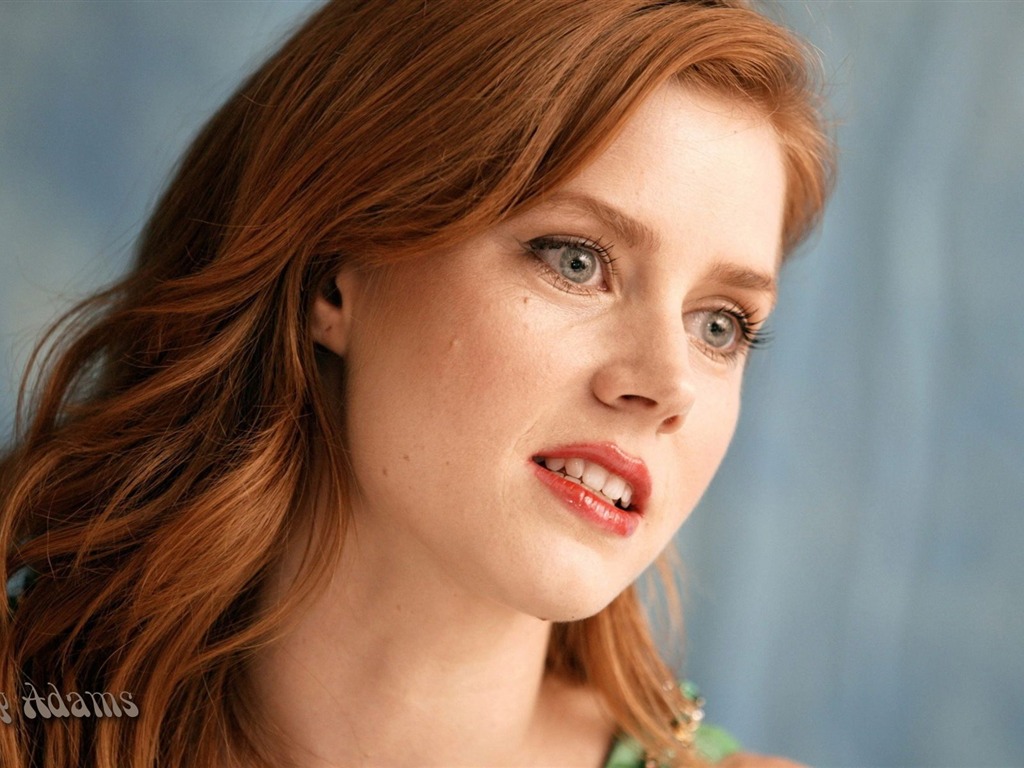 Amy Adams 艾米·亞當斯 美女壁紙 #9 - 1024x768