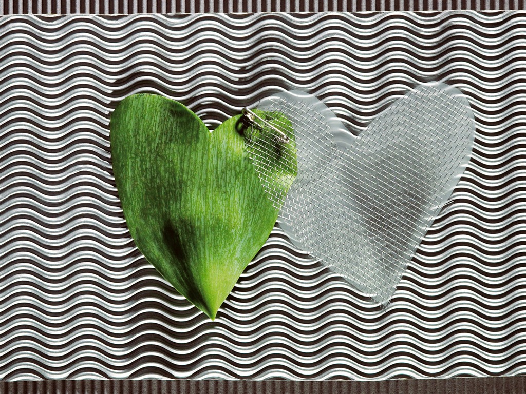 寬屏鮮花特寫 壁紙(六) #6 - 1024x768