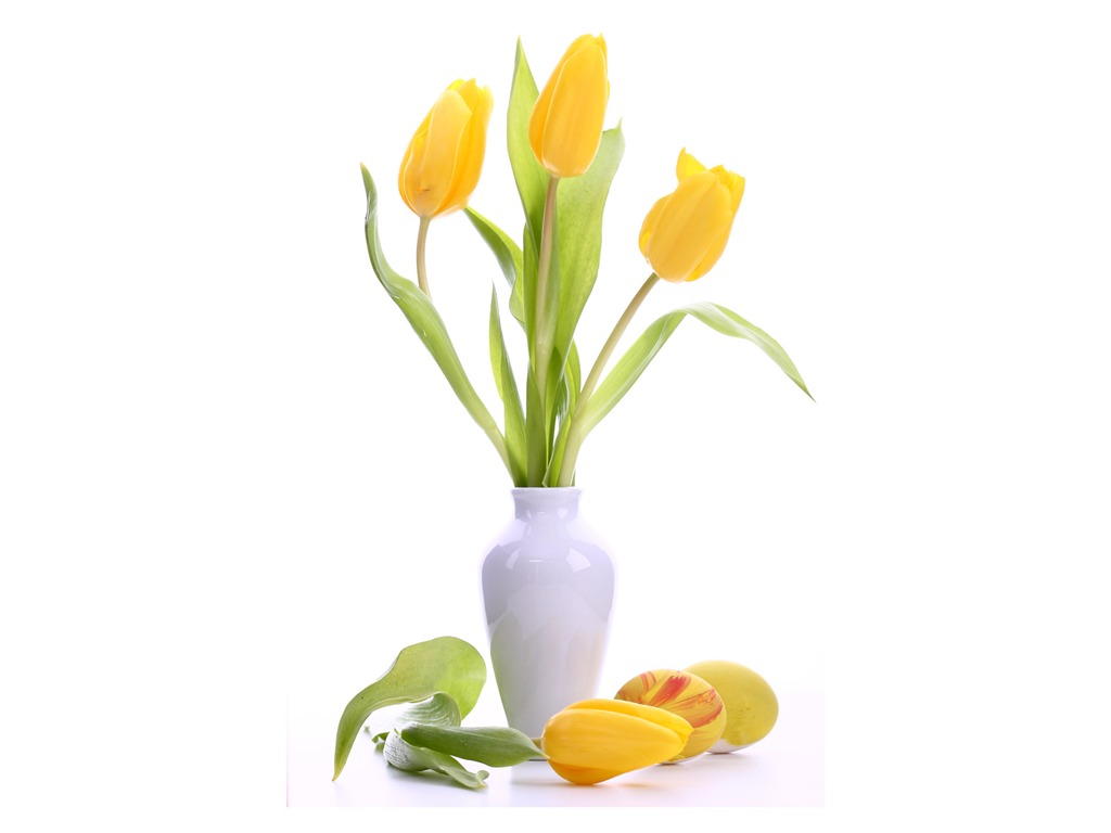 fondos de escritorio de gran tulipán (3) #2 - 1024x768