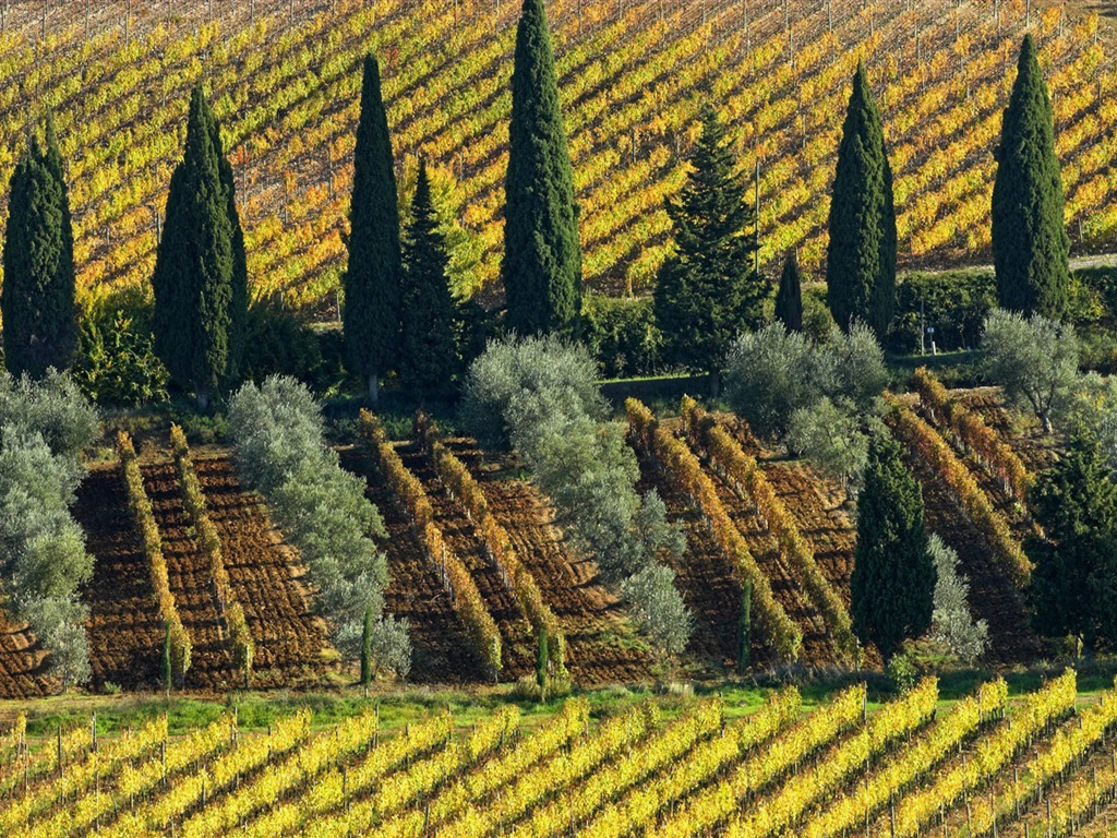 Italienische Landschaft Wallpaper (2) #17 - 1024x768