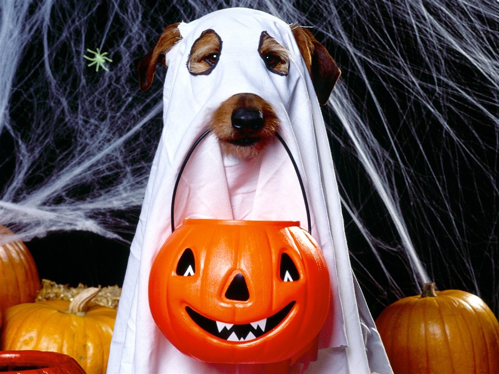 Halloween Theme Wallpapers (1) #1 - 1024x768