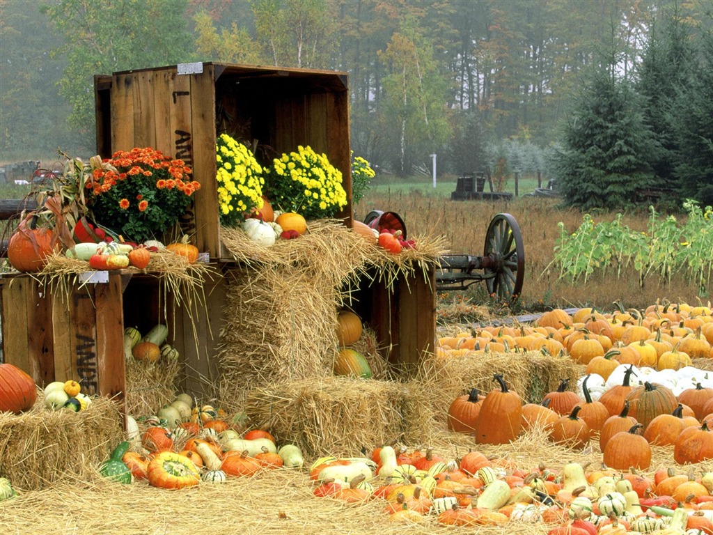 Fonds d'écran thème de l'Halloween (1) #7 - 1024x768