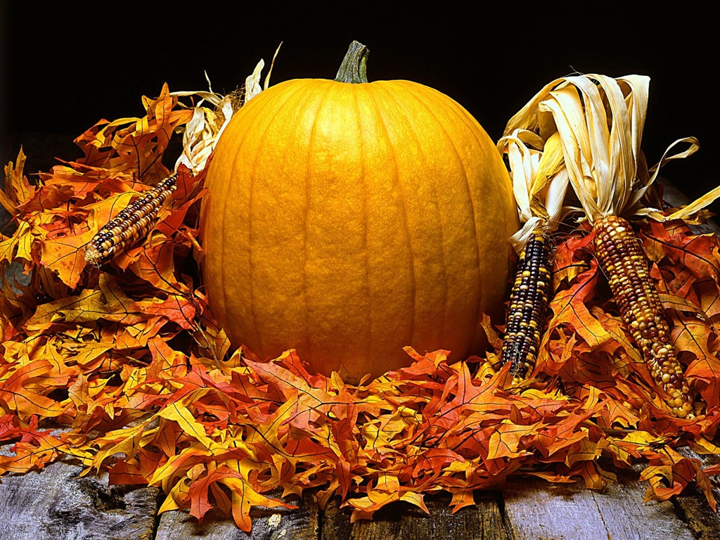 Fonds d'écran thème de l'Halloween (1) #18 - 1024x768