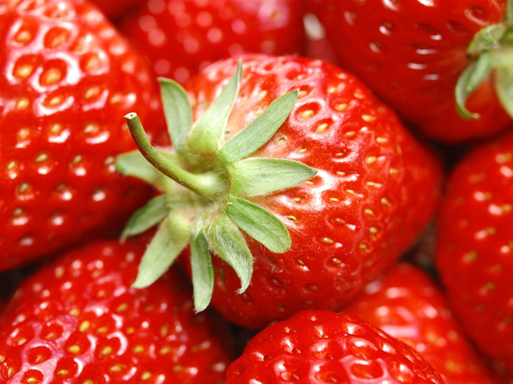 fraises fraîches d'écran HD #1 - 1024x768