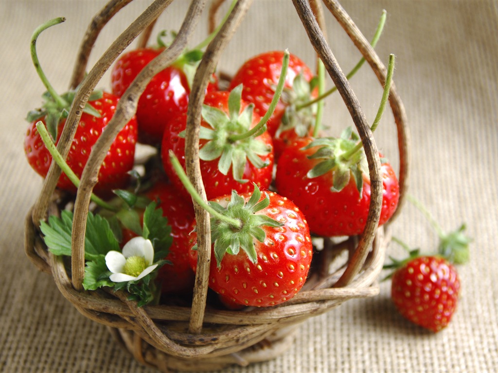 fraises fraîches d'écran HD #12 - 1024x768