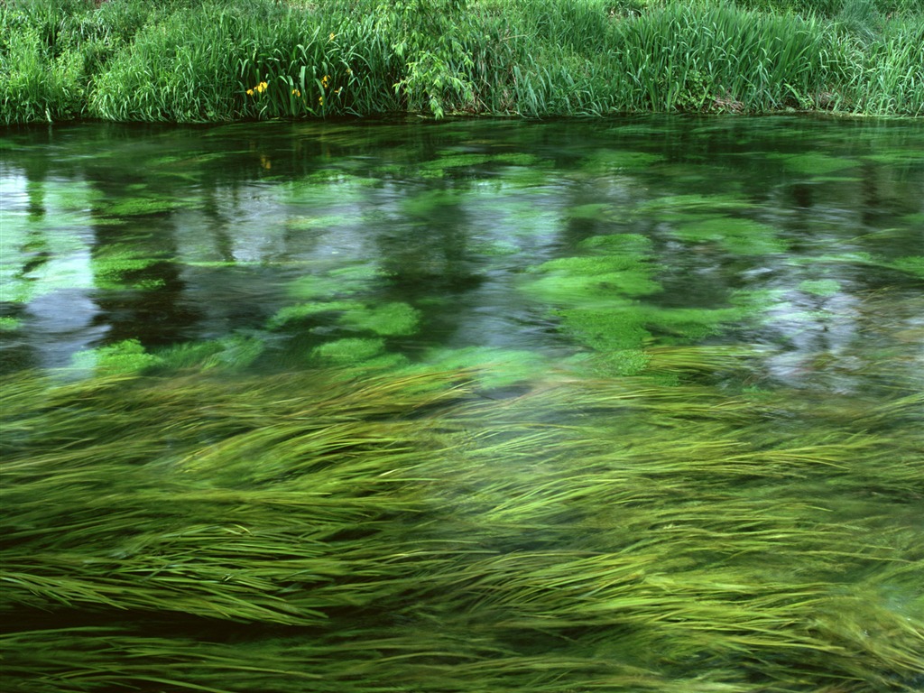 Field photo wallpaper #10 - 1024x768