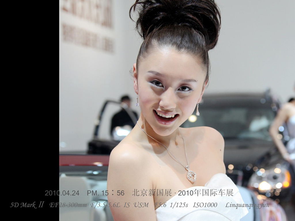 2010-4-24 Beijing International Auto Show (Linquan Qing Yun works) #2 - 1024x768