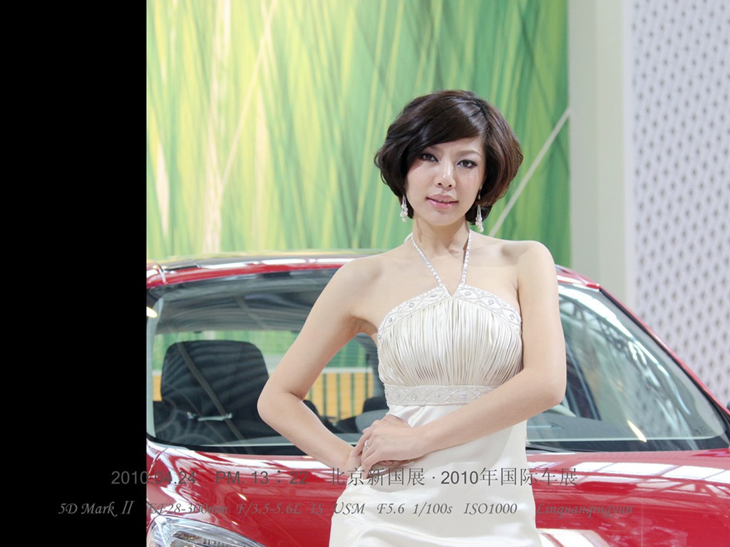 2010-4-24 Beijing International Auto Show (Linquan Qing Yun works) #6 - 1024x768