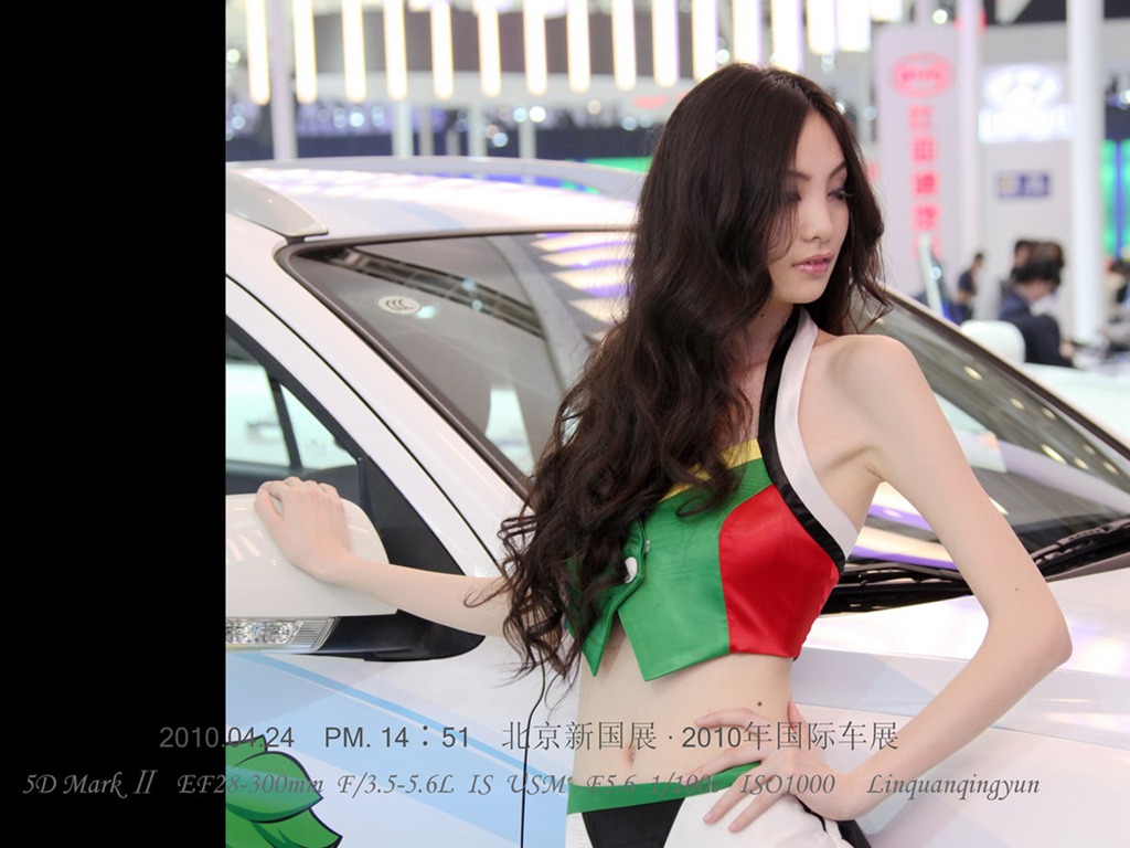 2010-4-24 Beijing International Auto Show (Linquan Qing Yun works) #19 - 1024x768