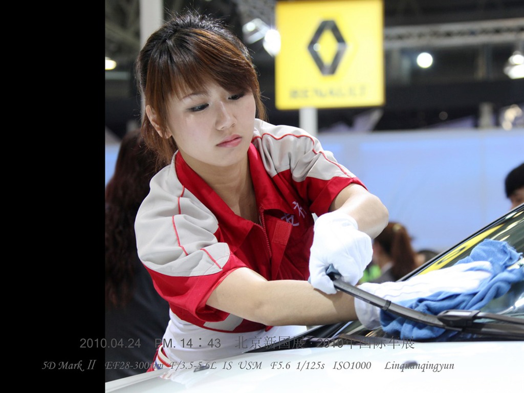 2010-4-24 Beijing International Auto Show (Linquan Qing Yun works) #20 - 1024x768