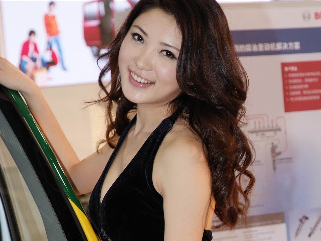 2010 Beijing International Auto Show beauty (rebar works) #22 - 1024x768