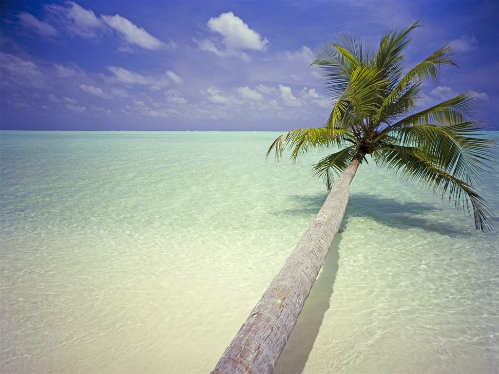 Webshots Scenery Wallpapers (15) #12 - 1024x768
