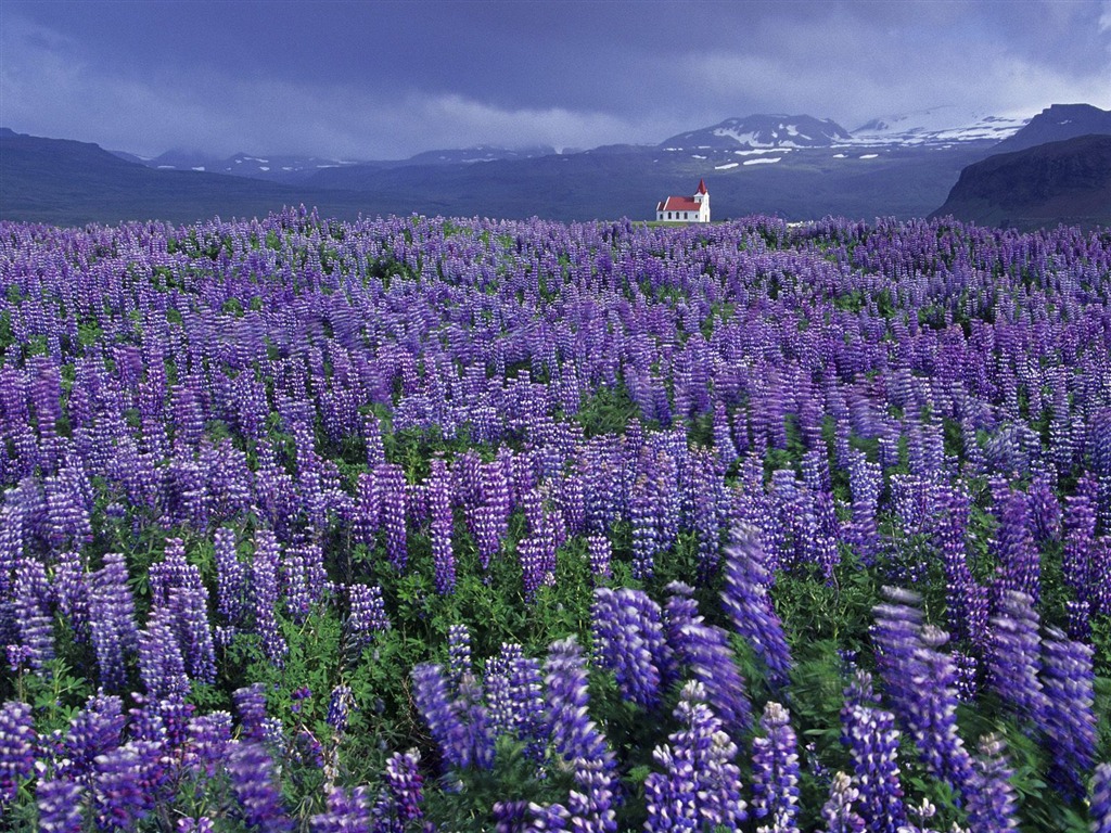 Webshots Scenery Wallpapers (15) #18 - 1024x768
