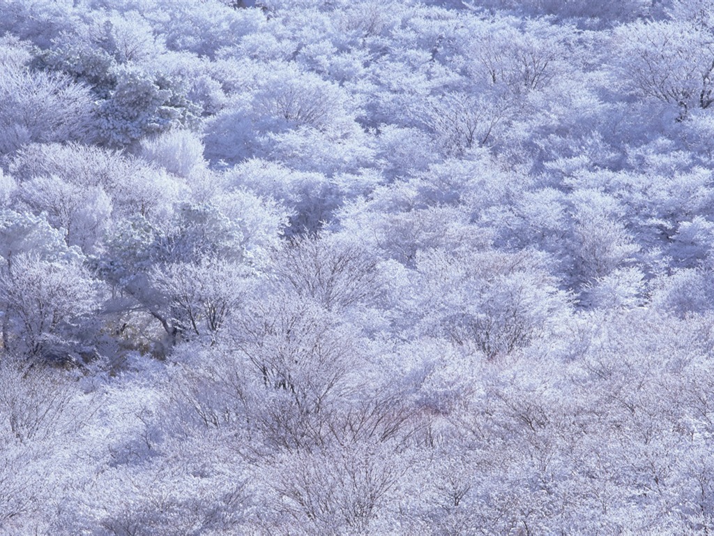 美麗如畫 日本風景寬屏壁紙 #3 - 1024x768