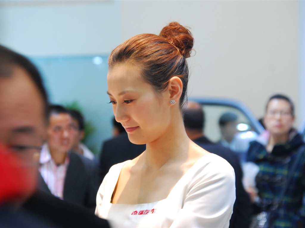 2010 Beijing International Auto Show (3) (z321x123 works) #14 - 1024x768