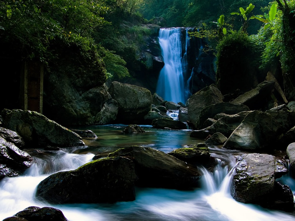 HD Fondos de la Naturaleza #11 - 1024x768