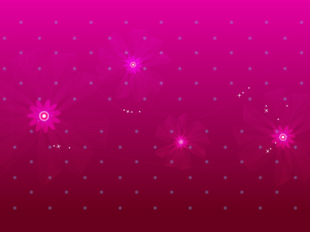炫彩花紋 壁紙(八) #17 - 1024x768