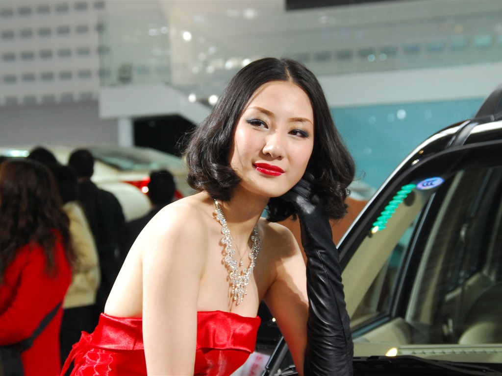 2010 Beijing International Auto Show (2) (z321x123 works) #10 - 1024x768
