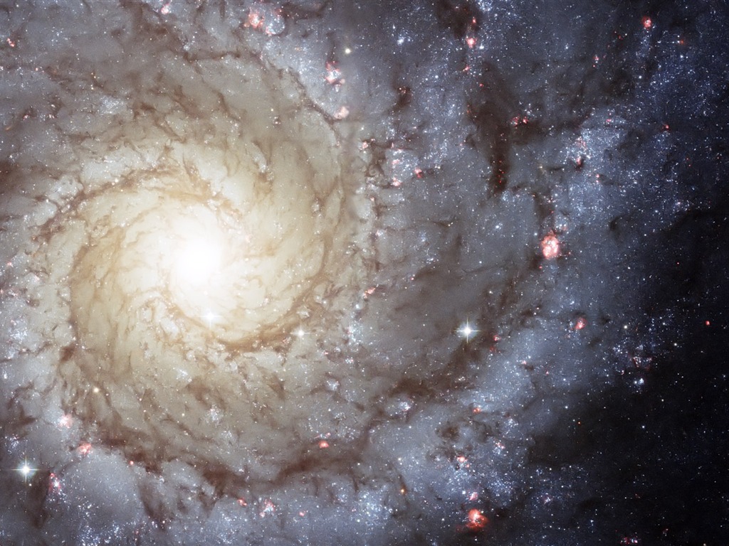 Fondo de pantalla de Star Hubble (3) #18 - 1024x768