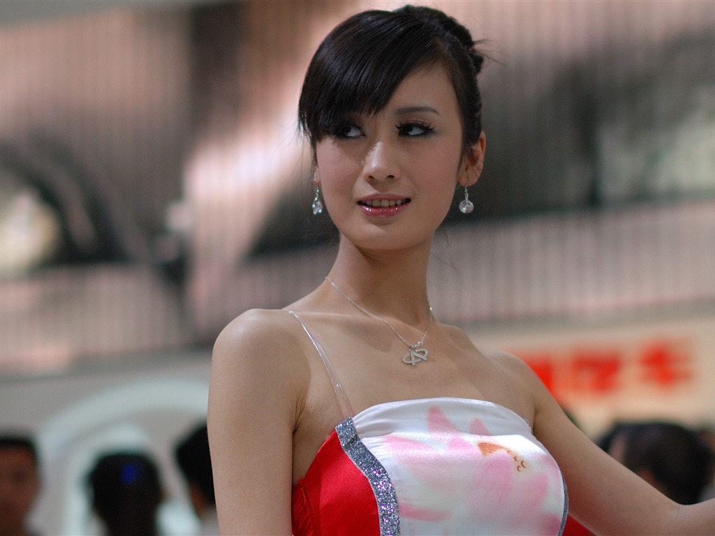 2010 Beijing International Auto Show (mcwang007 Werke) #25 - 1024x768