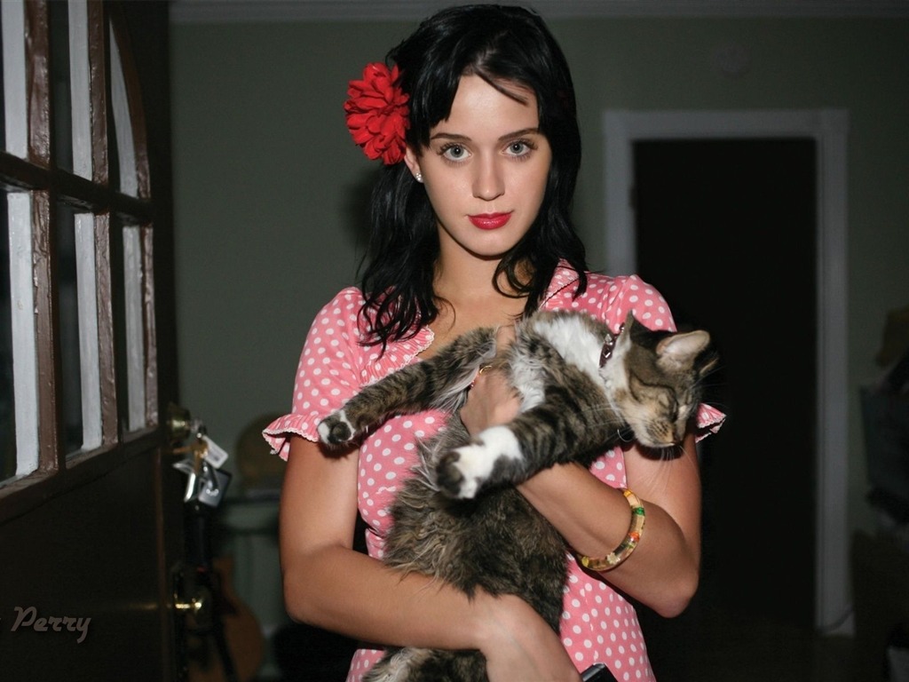 Katy Perry krásnou tapetu #1 - 1024x768