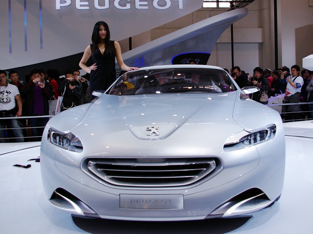 2010 Beijing International Auto Show (Sunshine Beach works) #21 - 1024x768