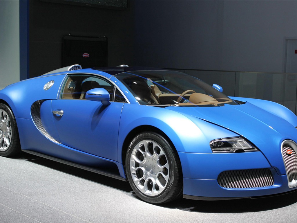 2010 Peking autosalonu (1) (vepřové navštívit Peking práce) #16 - 1024x768