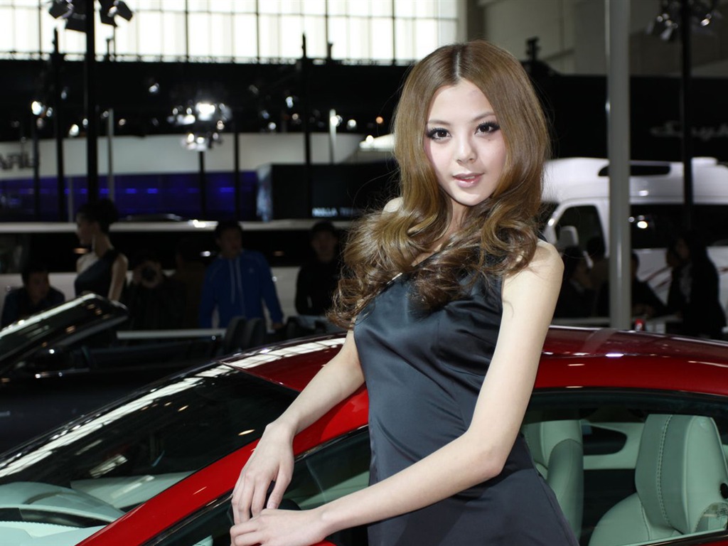 2010 Beijing Auto Show (2) (Pig besuchen Beijing Werke) #21 - 1024x768