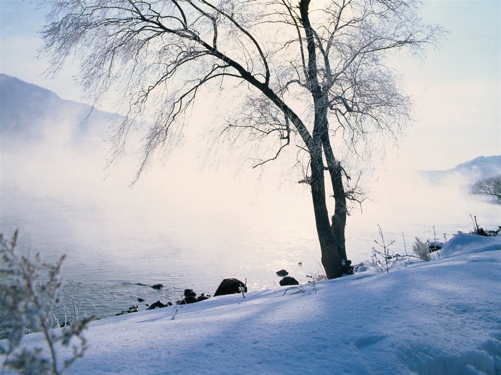 冬天雪景壁紙 #1 - 1024x768