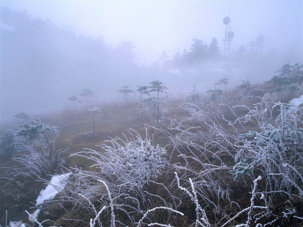 冬天雪景壁紙 #7 - 1024x768