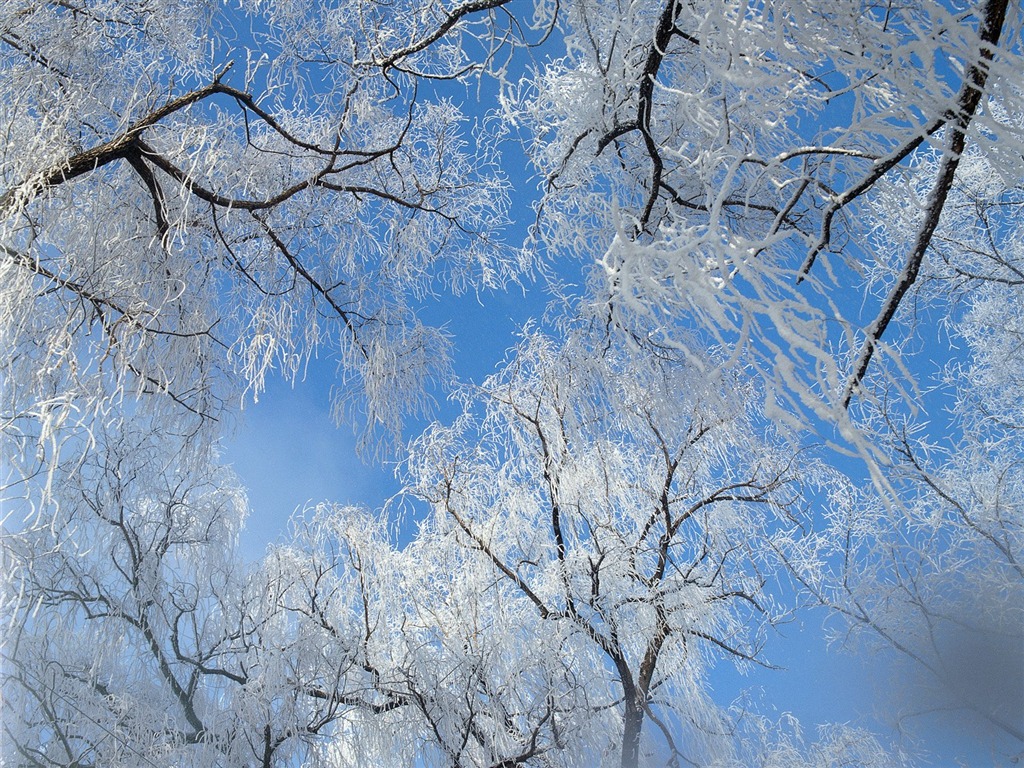 冬天雪景壁紙 #10 - 1024x768