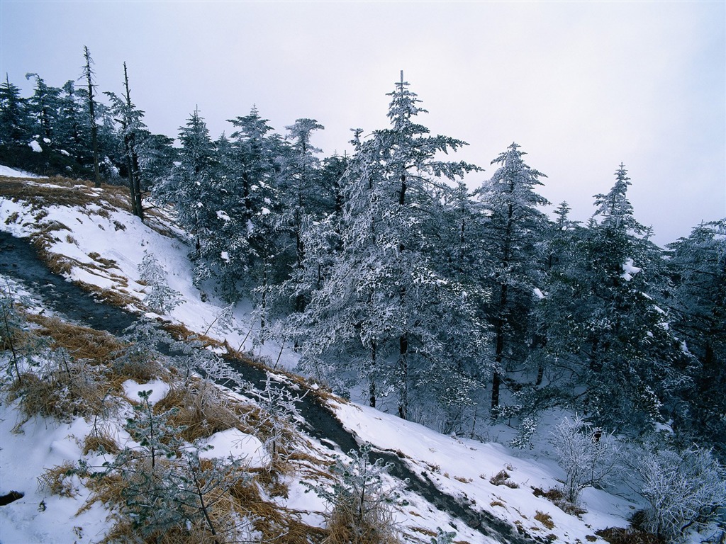 冬天雪景壁紙 #13 - 1024x768