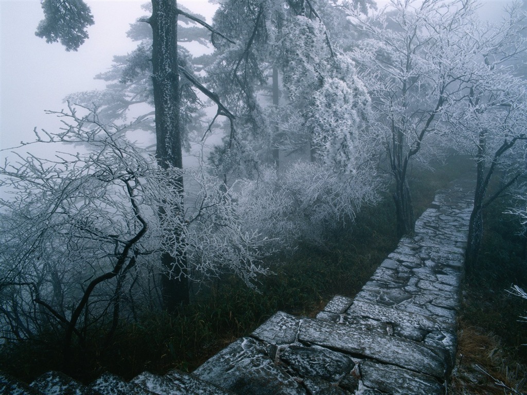冬天雪景壁紙 #17 - 1024x768