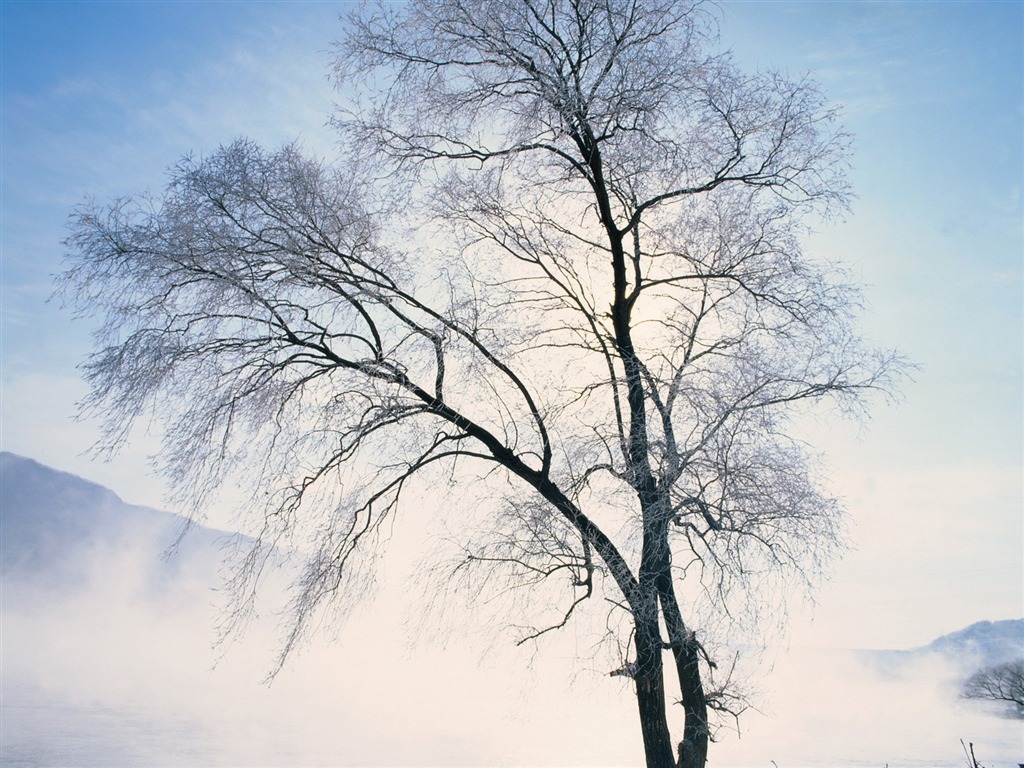 冬天雪景壁紙 #21 - 1024x768
