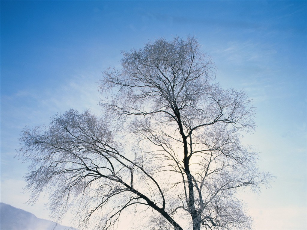 冬天雪景壁紙 #24 - 1024x768