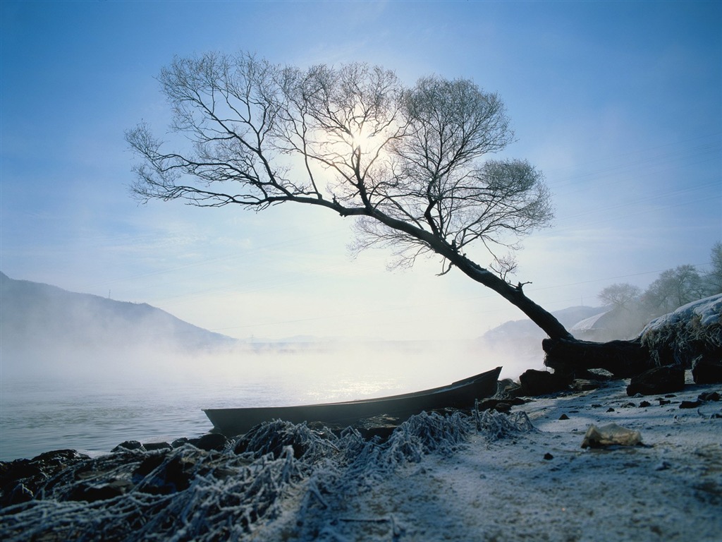 冬天雪景壁紙 #25 - 1024x768